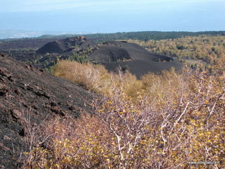nte Zappinazzo-04-11-2012 11-00-15